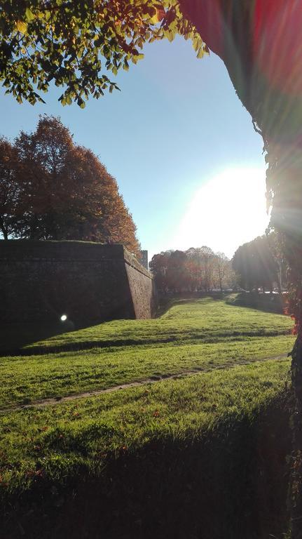 Robin'S Nest Lucca Exterior foto
